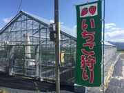 下村ベリー園の写真2