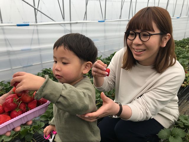 小さいお子さんも大満足_58ロハスファーム ベリーガーデン