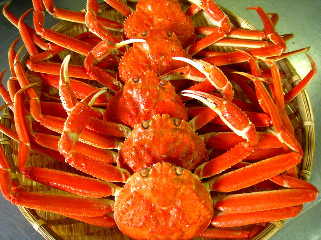 カネ活渡辺水産
