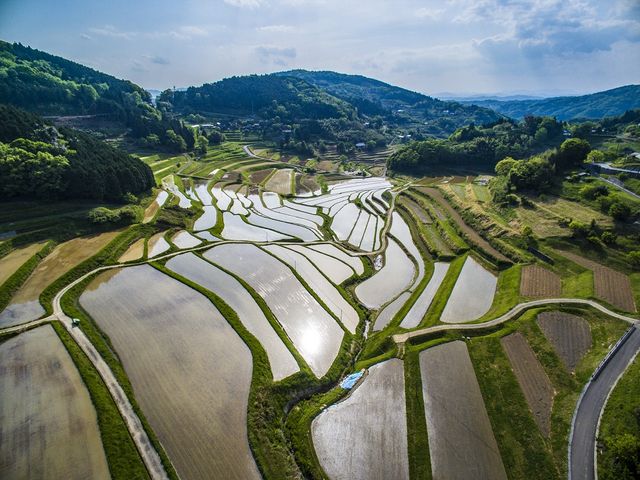 棚田のあげ家 やまっこ