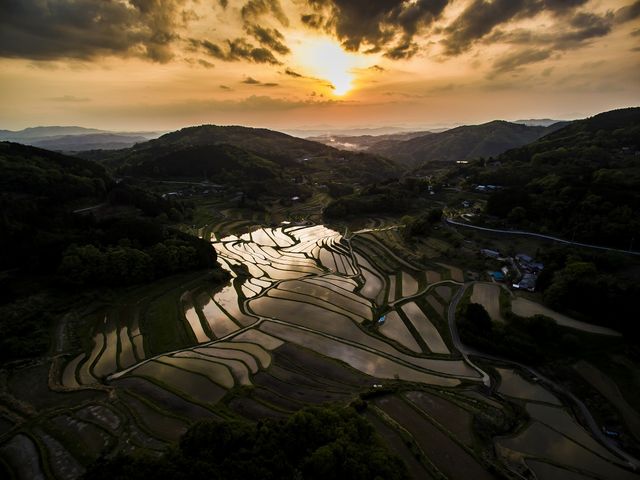 棚田のあげ家 やまっこ