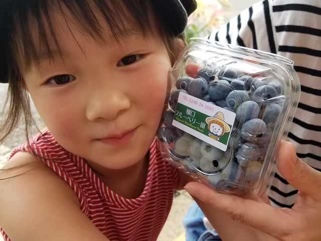 樋口ブルーベリー園