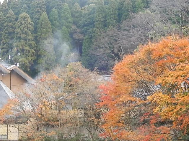せせらぎの湯 花水木