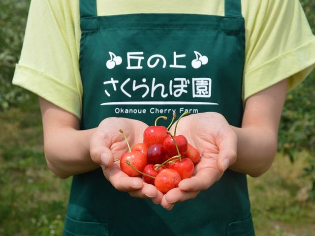 丘の上さくらんぼ園
