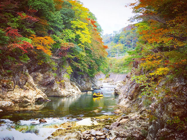 秋のりんご狩り&紅葉ラフティングも好評です♪_DEEP NATURE