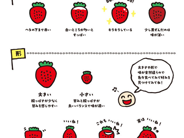 実っているいちごは個性豊か!お気に入りを見つけてください_strawberry farm BUNKAEN