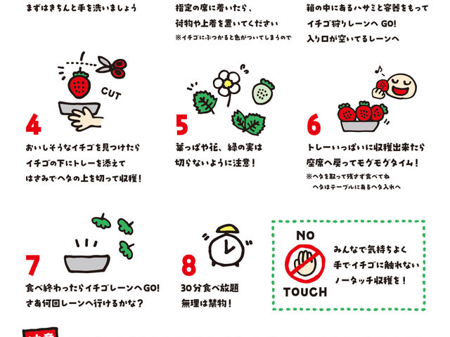いちご狩りの実施方法です。実施前の手洗いは必ずしましょう_strawberry farm BUNKAEN