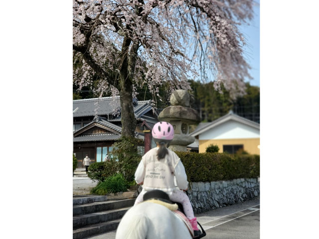 北勢ライディングファーム