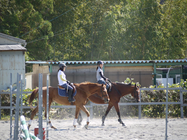 北勢ライディングファーム