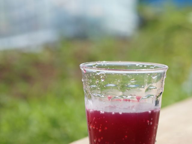 自然体験農園 とあさ村