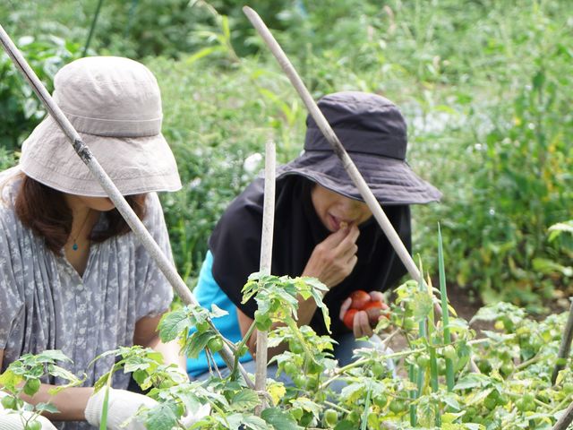 自然体験農園 とあさ村