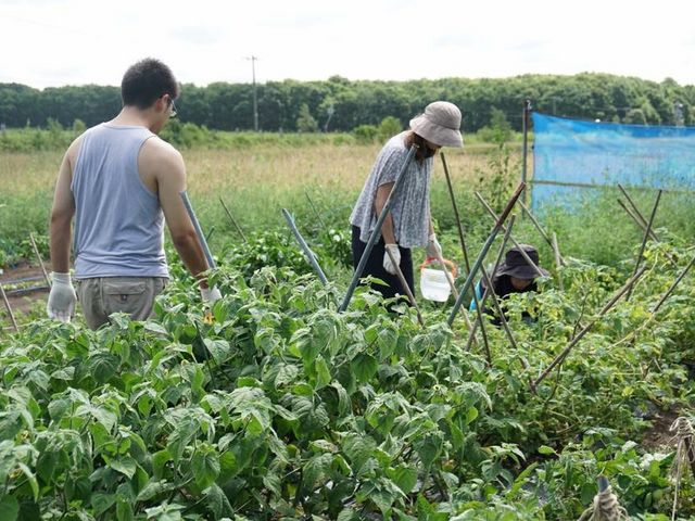 自然体験農園 とあさ村