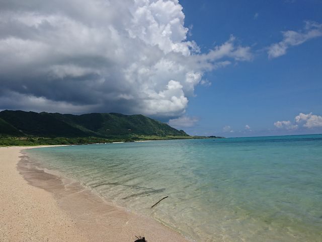 素敵な海と自然を満喫しに来てくださいね。_石垣島レジャーガイド海心