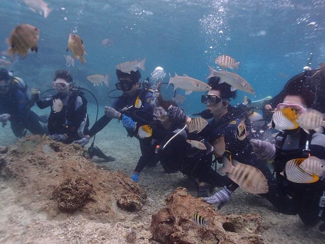 Marine activity NATURA(ナトゥーラ)