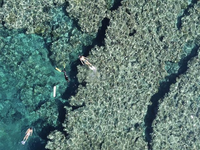 MARINE OCEAN