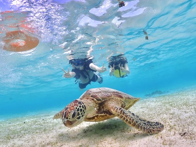 シュノーケルツアー わ〜ら