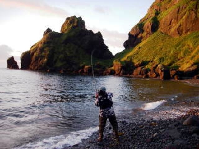 モイレウシでカラフトマス釣_Fish on 英人丸