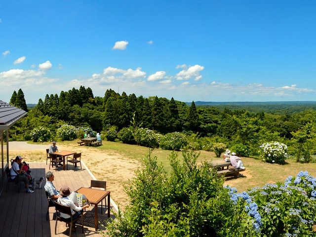 野見金山展望カフェ ミハラシテラス