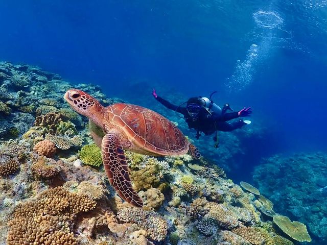 沖縄ダイビング 美ら海グーニーズ