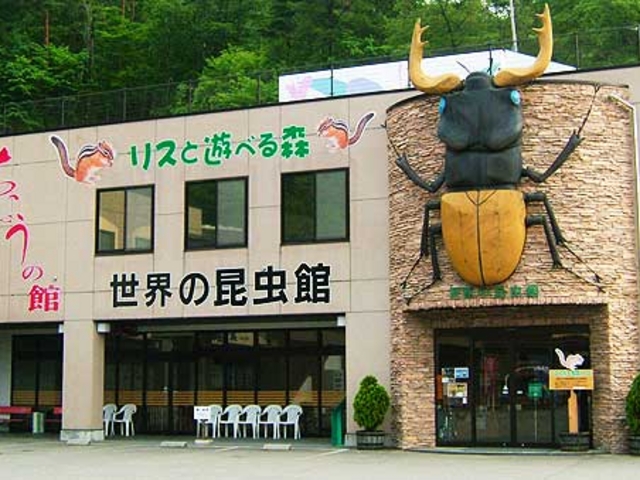 飛騨高山・まつりの森