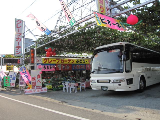 グレープガーデン安全農園