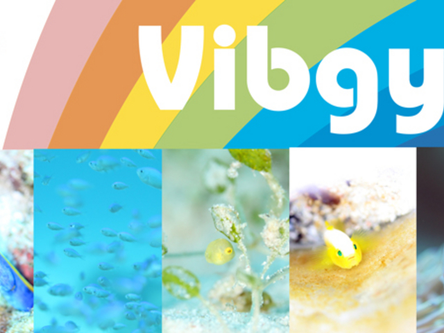 DIVING SERVICE Vibgyor