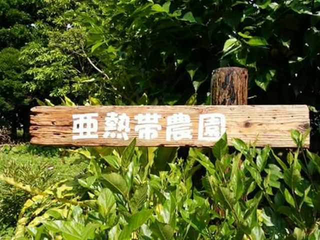 アイランドパワー