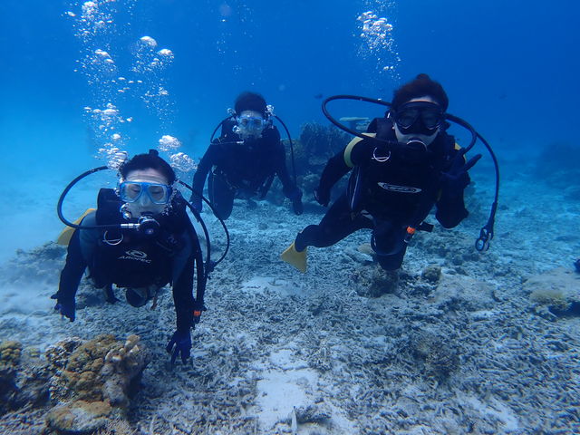 SEA STEP DIVERS