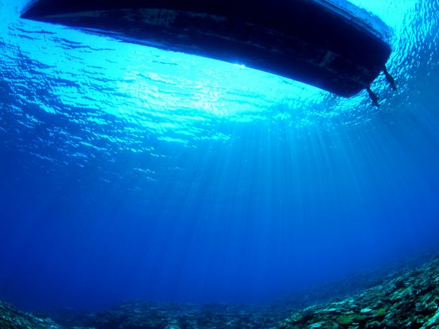 SEA STEP DIVERS
