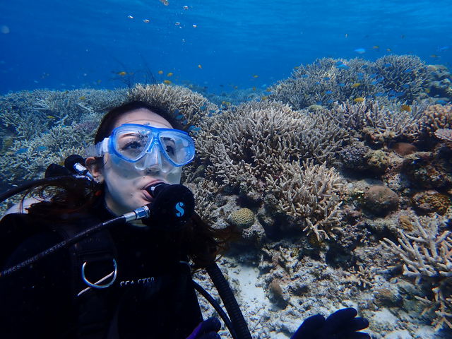 SEA STEP DIVERS
