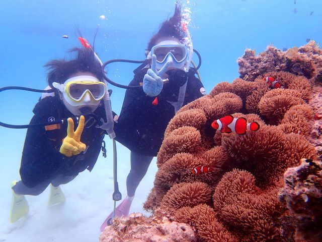 かわいい魚と写真を撮ろう!_石垣島ダイビングショップ ABCdive