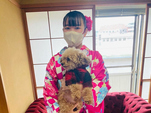 看板犬ミシェル。超甘えん坊です_長崎きもの乙女プロジェクト