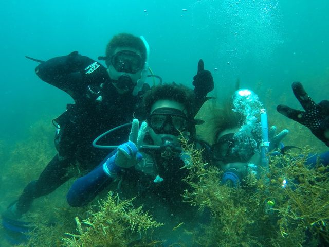 山陰海岸ジオパークダイビングスクール