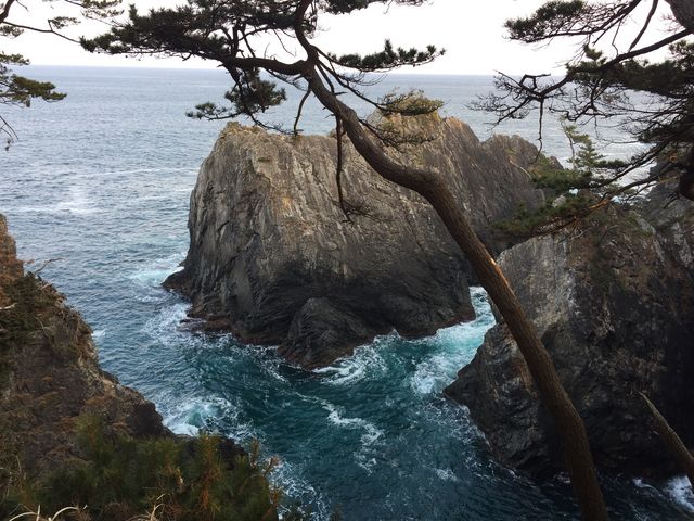 広田崎園地