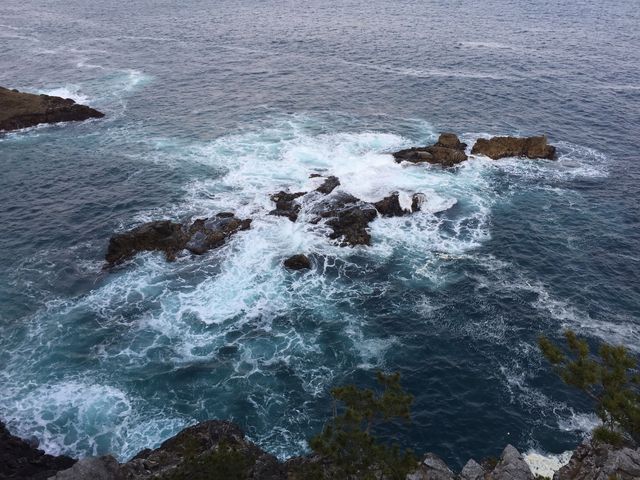 広田崎園地