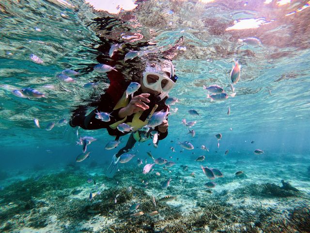 透明度の高い海で餌やり体験もできちゃいます★_diving&workshop IHANASHI