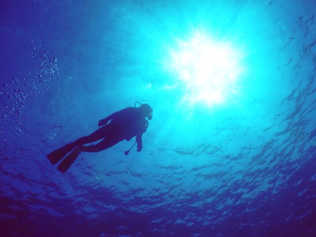 ダイビングでは普段味わうことのない無重力の水中世界★_diving&workshop IHANASHI