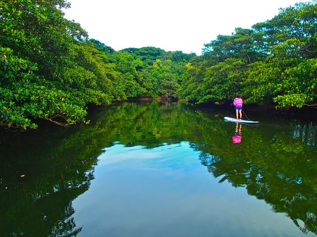 IRIOMOTE St.East