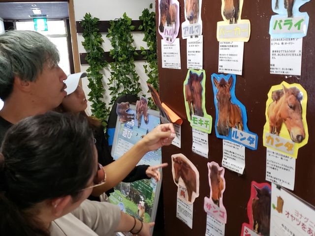 今日見た子はどれだ〜??_ウェルネスリゾート沖縄 ユインチホテル南城