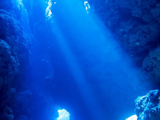 水深の浅い洞窟や体験ダイビングでも見る事が出来るキレイなアーチポイントなども御座います。_セントラルマリンクラブ