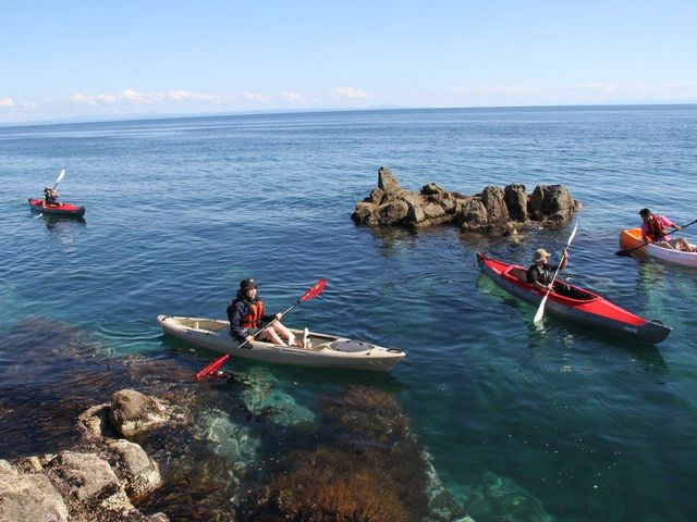 一般社団法人天売島おらが島活性化会議