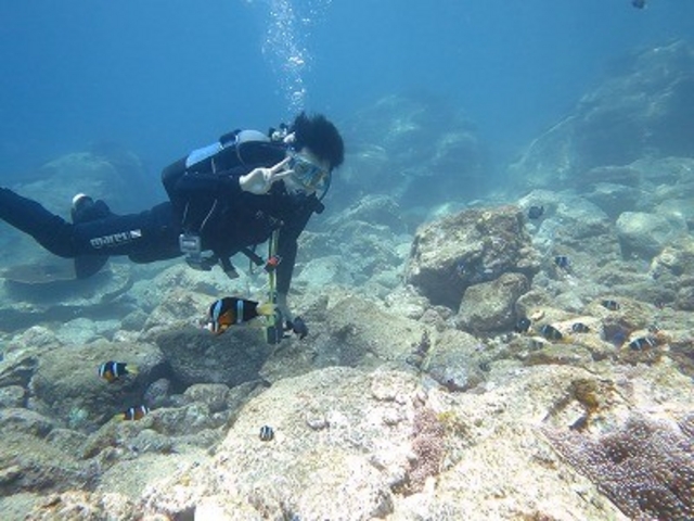DIVING SHOP 海遊び 広島店