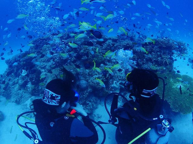 水中での思い出写真は無料でプレゼント!
最高の思い出をお持ち帰りください♪_aqua ring