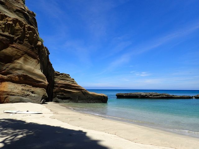 JAH-LA-SORA TANEGASHIMA