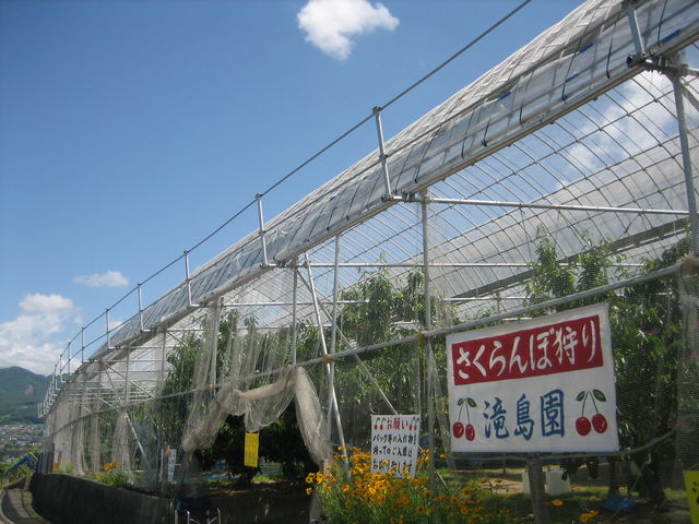 滝島フルーツ園