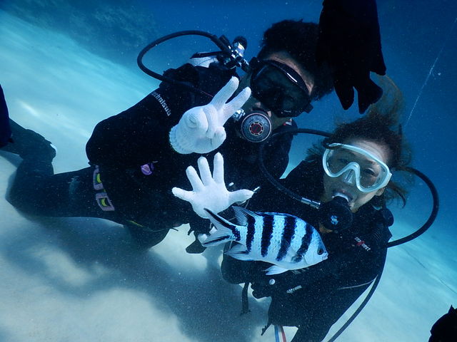 Marine & Guest House 美Chura