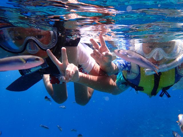 Marine & Guest House 美Chura