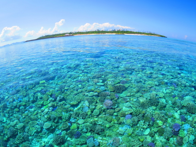 水納島 南風