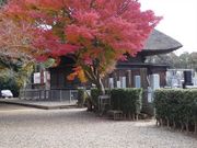 龍禅寺 三仏堂の写真1