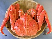 カネ活渡辺水産の写真3